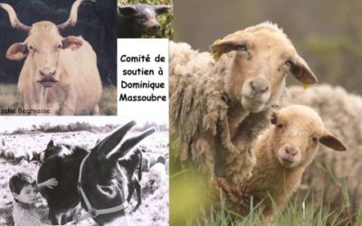 Empêchons le système de détruire cet éleveur hors norme !