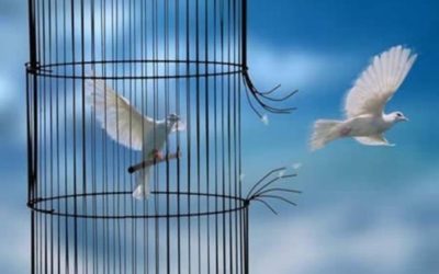 Destruction des libertés publiques : un projet politique déterminé !