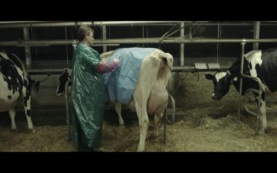 COVID 19 : les interrogations d’un vétérinaire de campagne