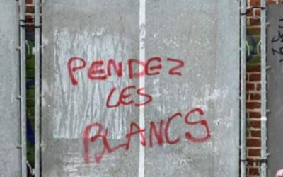 L’antijaphétisme : origine et développement du racisme anti-blancs