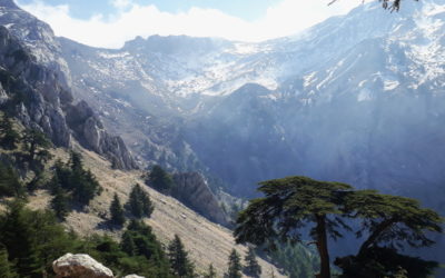L’Algérie a mal à la Kabylie