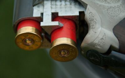 La République face à la guerre civile : quelle alternative ?