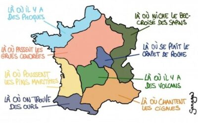 Dans les régions, pourquoi voter pour des institutions devenues inaccessibles ?
