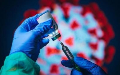 De l’ingénierie sociale à la bio-ingénierie