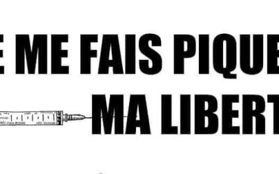 La cinquième vague : un agenda politique
