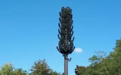 Remplacer de vrais arbres par des faux : l’imposture de la « Transition Écologique » dans toute sa splendeur