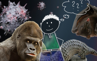 T’as eu ta 32ème dose pour aller au zoo ?
