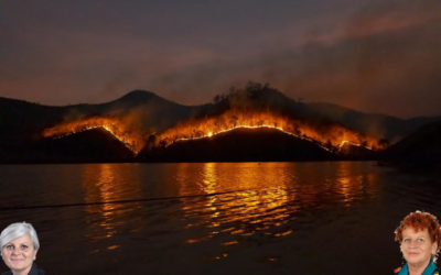 Incendies en Gironde : la défiance envers les propriétaires en procès
