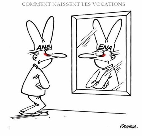 La fabrique des cons en France