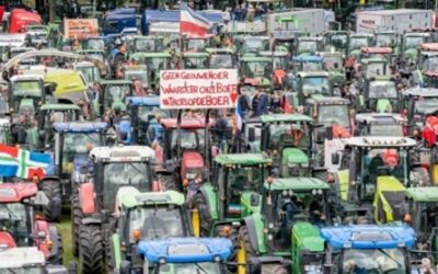 Sur la révolte agricole aux Pays-Bas