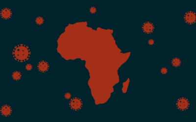 Dans « l’Afrique réelle » : la question de l’État